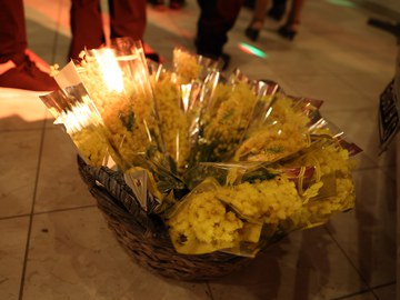 Festa della donna 08.03.2024