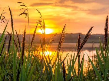 I Volontari della San Vincenzo