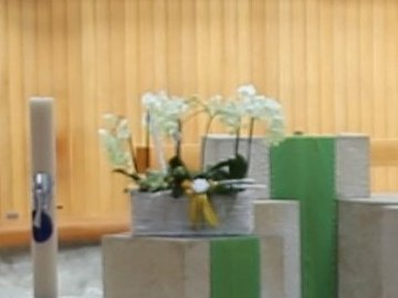 Lettori e ministri della Comunione